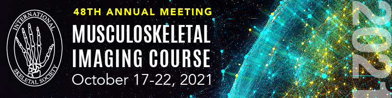 iss 2022 meeting banner
